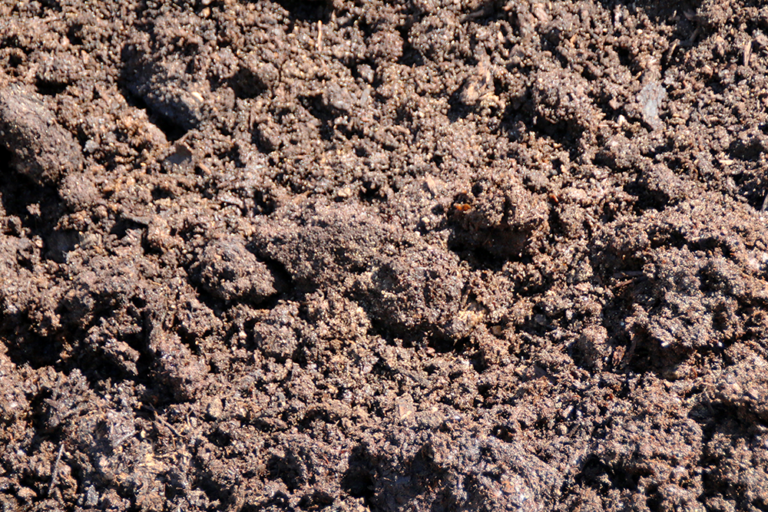 Keleny Top Soil