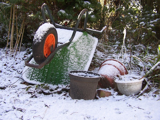 winter-gardening