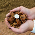 Crushed granite