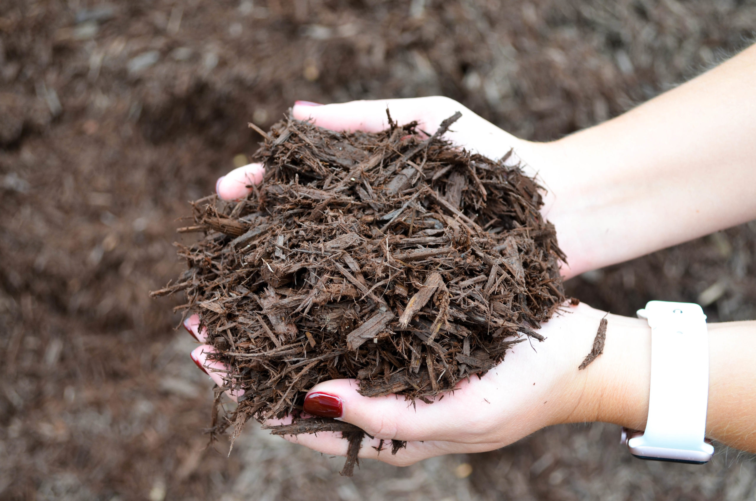Dyed brown mulch