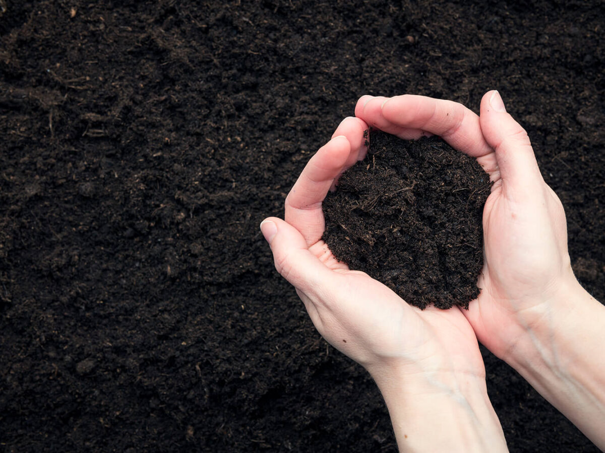Compost vs. Topsoil: What's the Difference?