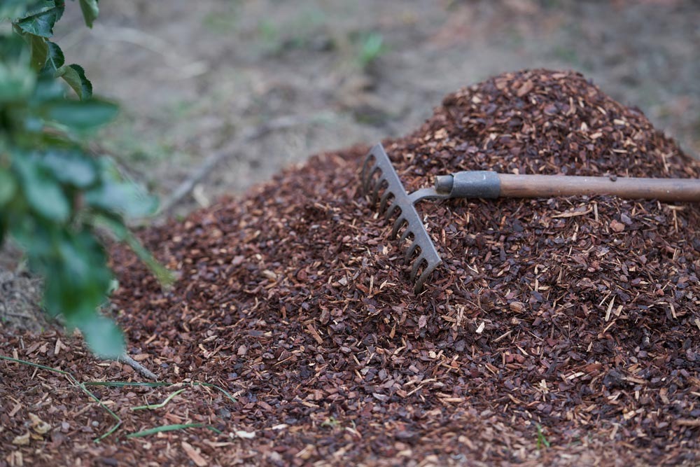 rake-sitting-on-a-pile-of-mulch
