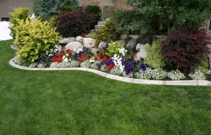 landscaping Yard