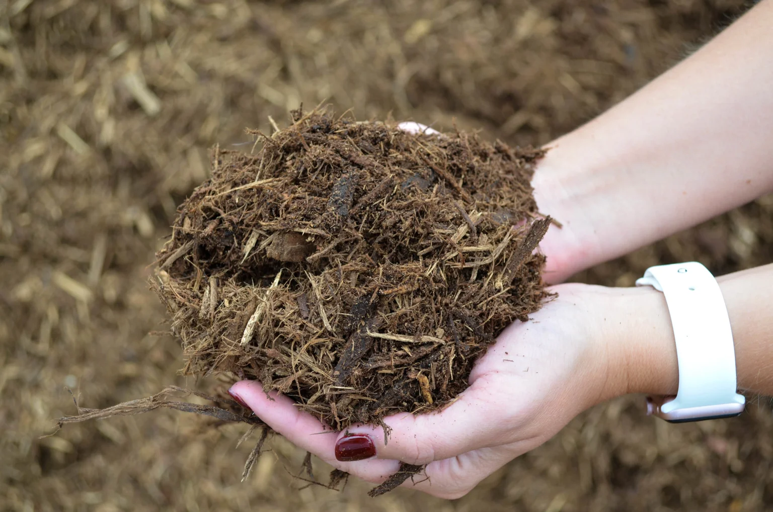 Double Shredded Hardwood Mulch - Keleny Topsoil