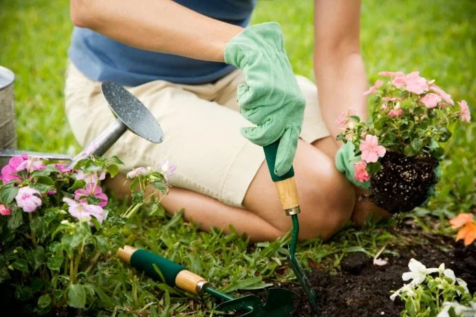 spring-garden