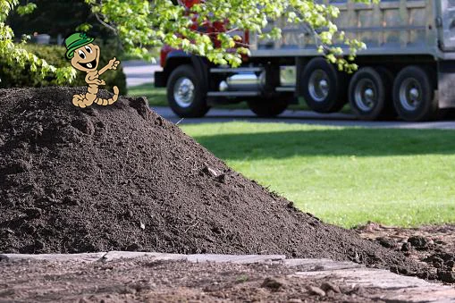 worm-soil