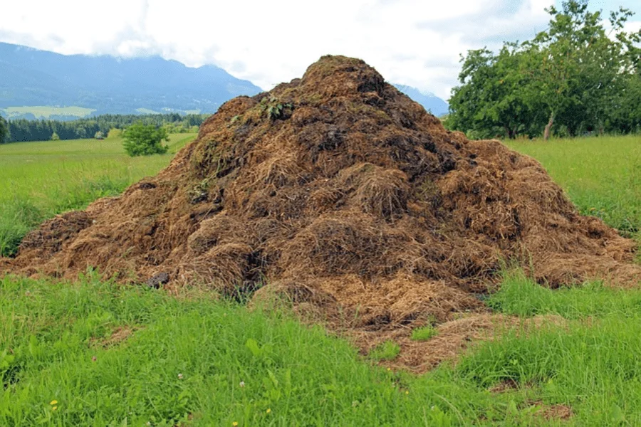 Compost2