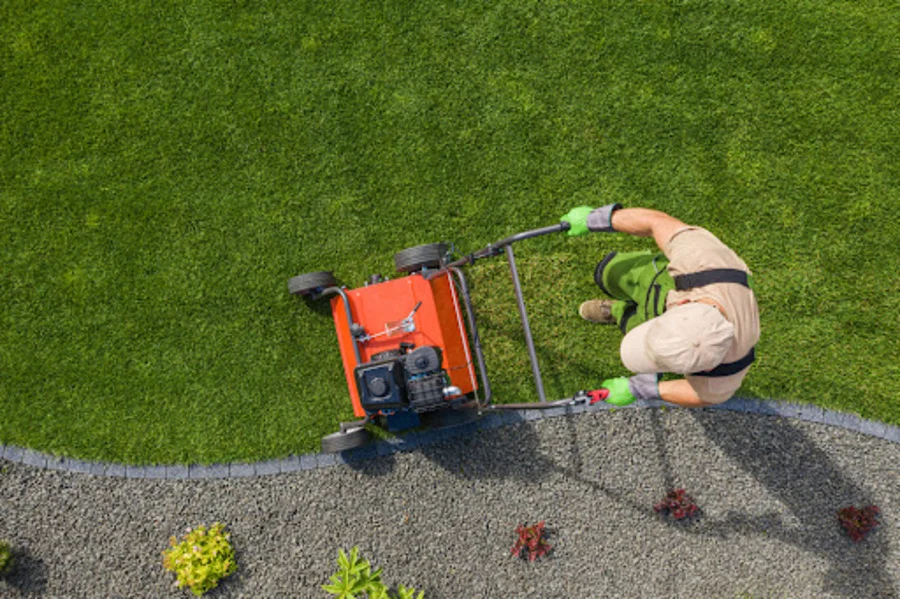 compacted soil